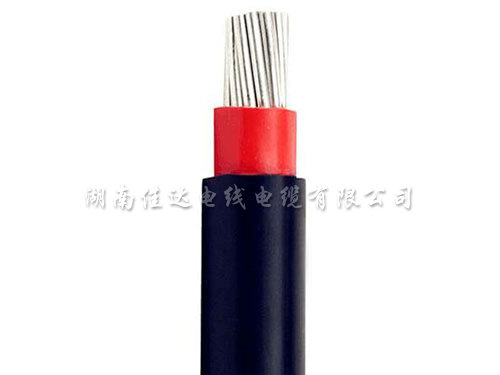 中国P站安装包下载系列