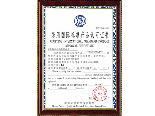 采用国际标准（最新中国P站入口）