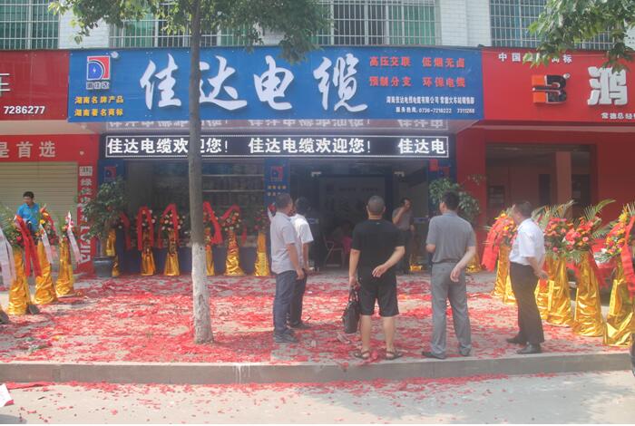 湖南中国P站下载电线电缆有限公司,中国P站下载电线电缆,最新中国P站入口系列,控制电缆,电线电缆企业哪里好
