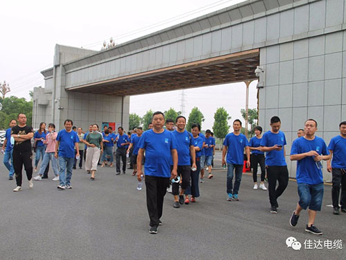 中国P站下载电缆有限公司,中国P站下载电缆,湖南中国P站下载，