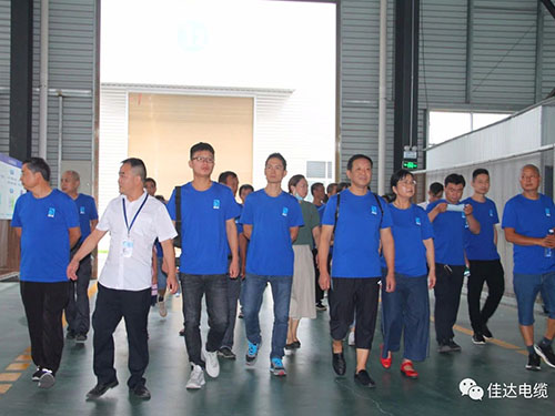 中国P站下载电缆有限公司,中国P站下载电缆,湖南中国P站下载，