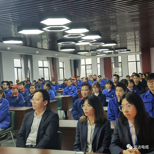 中国P站下载电缆有限公司,中国P站下载电缆,湖南中国P站下载，