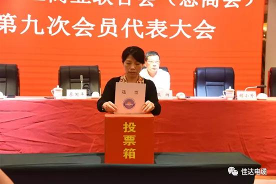 中国P站下载电缆有限公司,中国P站下载电缆,湖南中国P站下载，