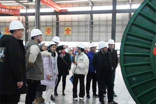 中国P站下载电缆有限公司,中国P站下载电缆,湖南中国P站下载，