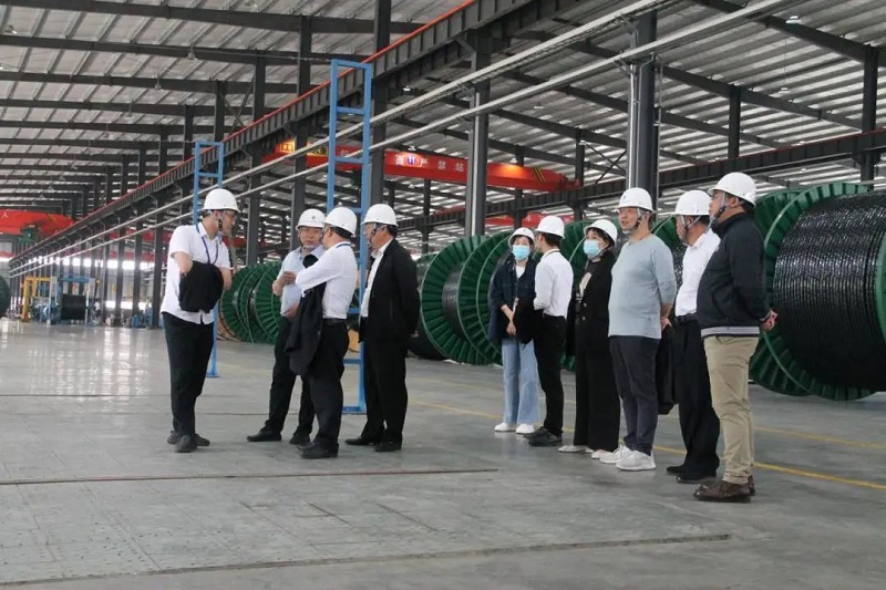 中国P站下载电缆有限公司,中国P站下载电缆,湖南中国P站下载，